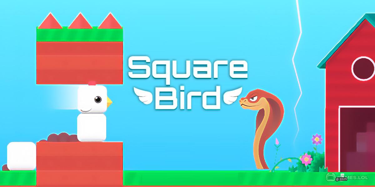 Square Bird - Unleash Your Skills in the Whimsical World of Square Bird